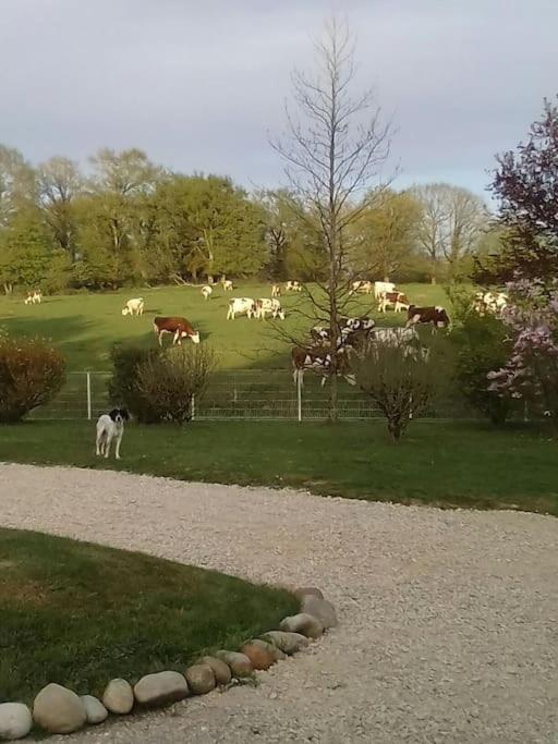 Dependance Pour 1 A 4 Pers Au Calme Dans Propriete Villa Marboz Luaran gambar